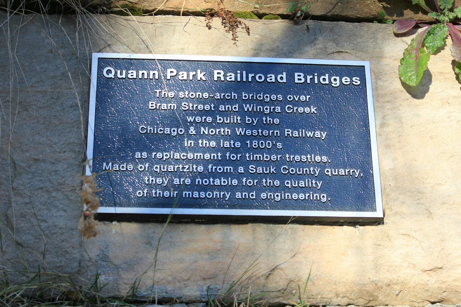 Plaque